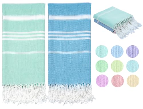 2 Pack Aqua Blue Fan