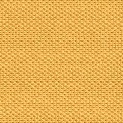 Tumeric Fabric