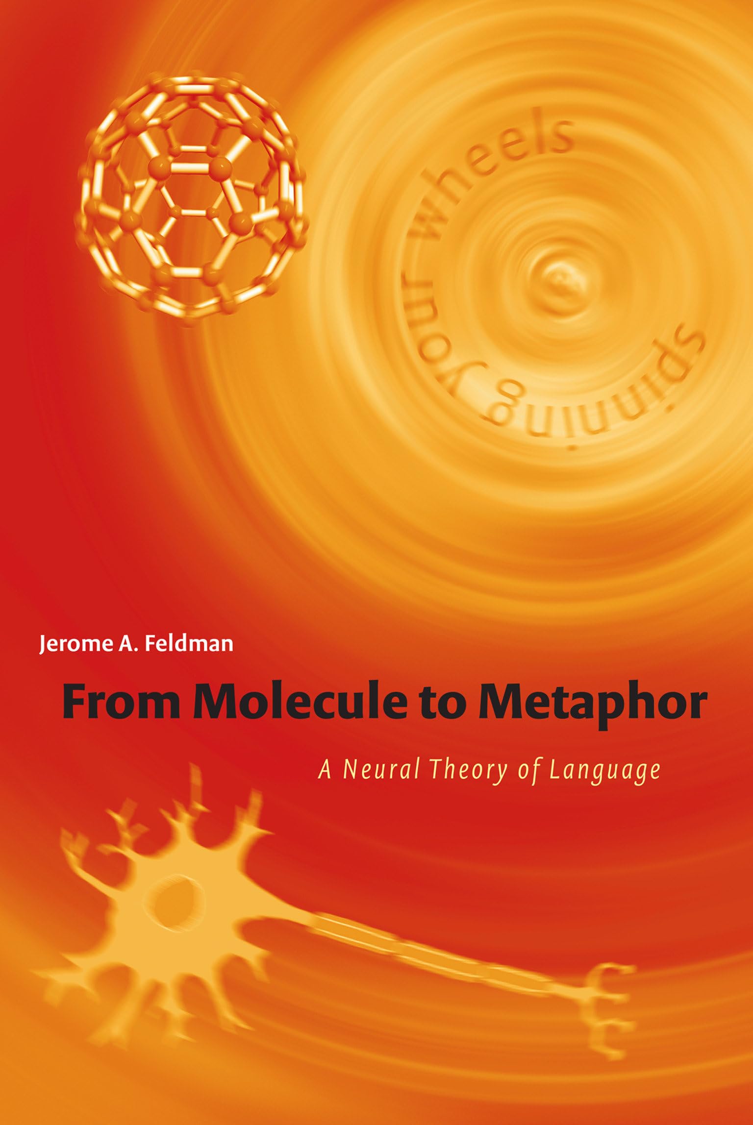 From Molecule to Metaphor: A Neural Theory of Language - Cognitive Science Book for Linguistics & Neuroscience Research | Perfect for Academic Studies & Brain Science Enthusiasts