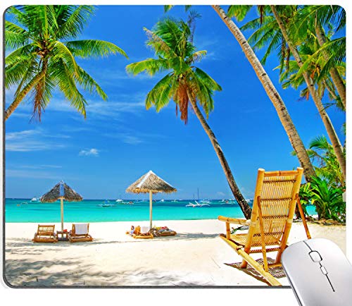 Beach Coconut Trees