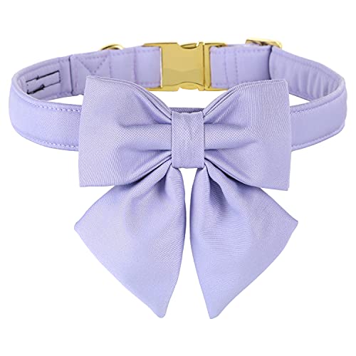 Bow-Violet