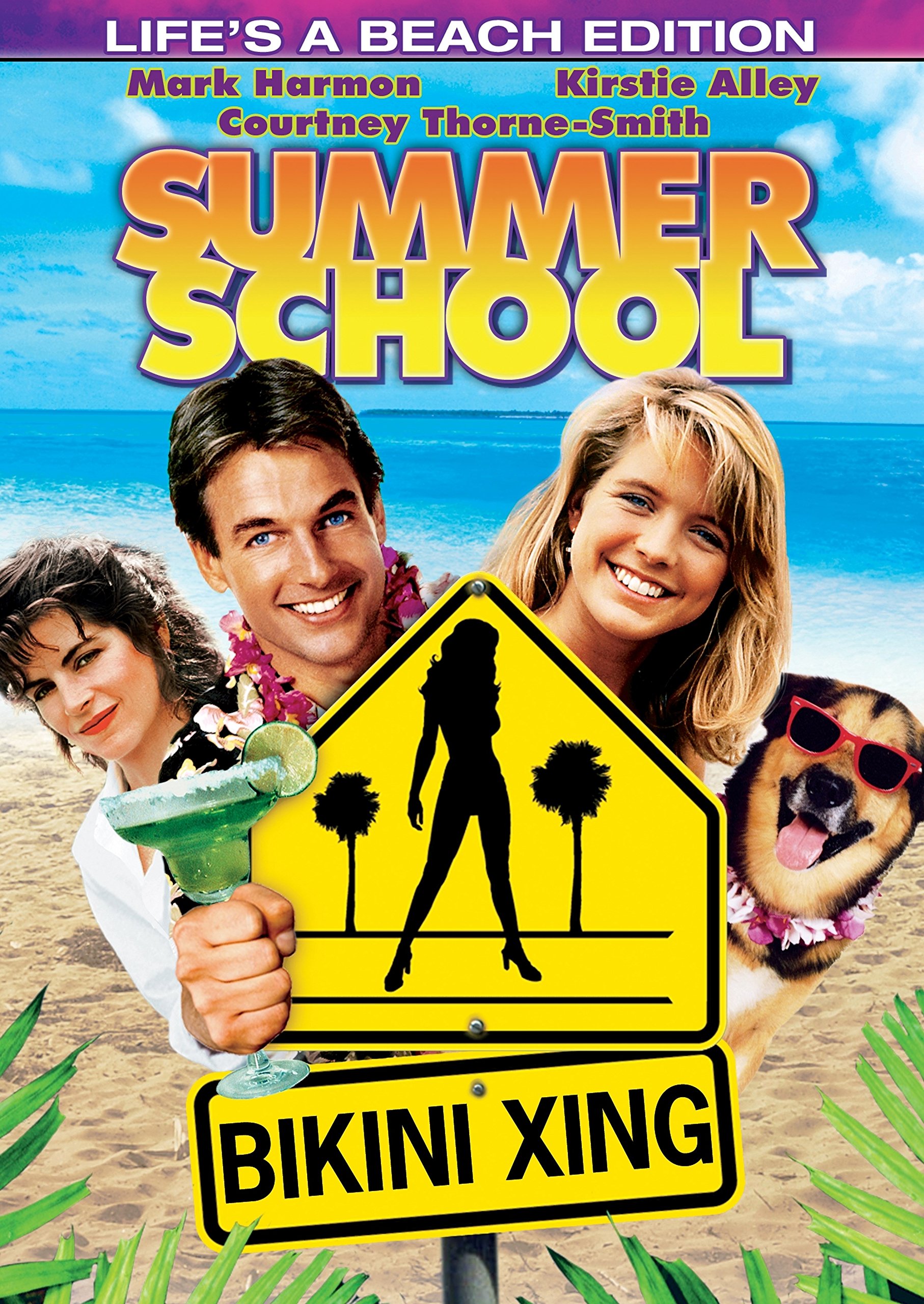Summer School Essentials - Backpacks, Notebooks & Supplies for Students | Perfect for Class, Study & Outdoor Learning
