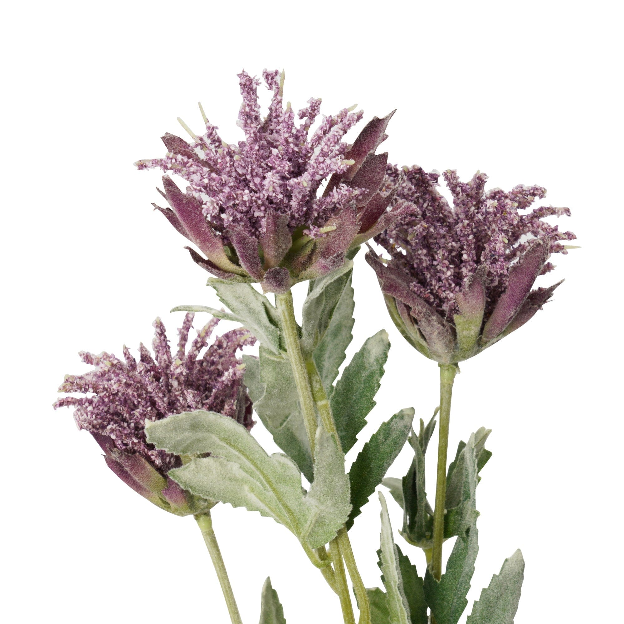Purple Art Flower Thistle - Elegant Home Decor & Wedding Bouquet for Special Occasions