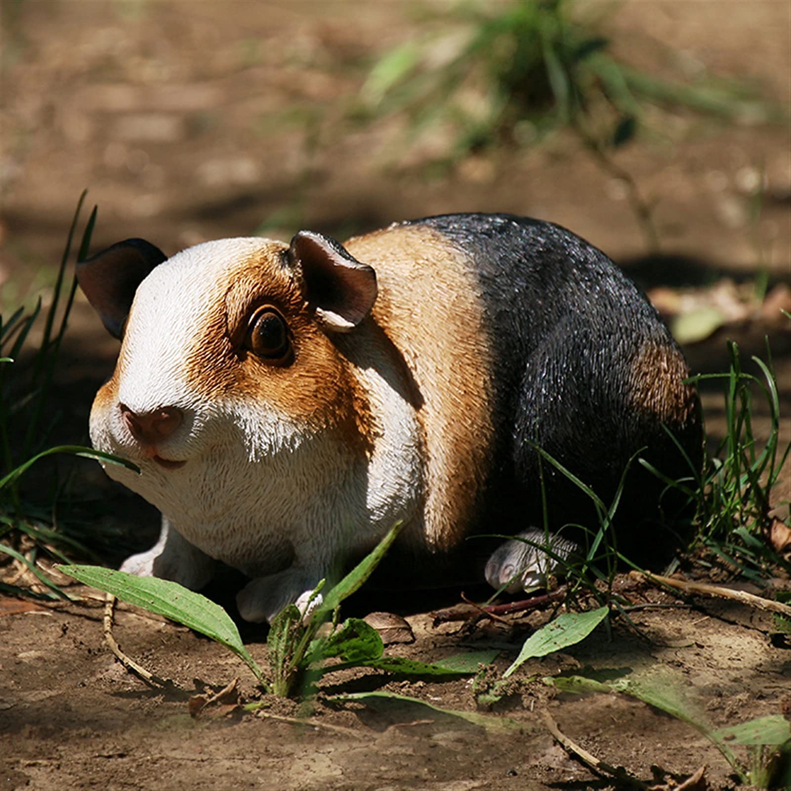 Guinea Pig Garden Statue - 3.9