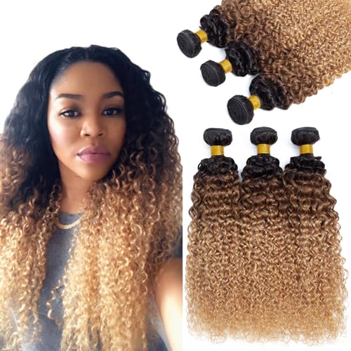 Ombre Curly Bundles Human Hair