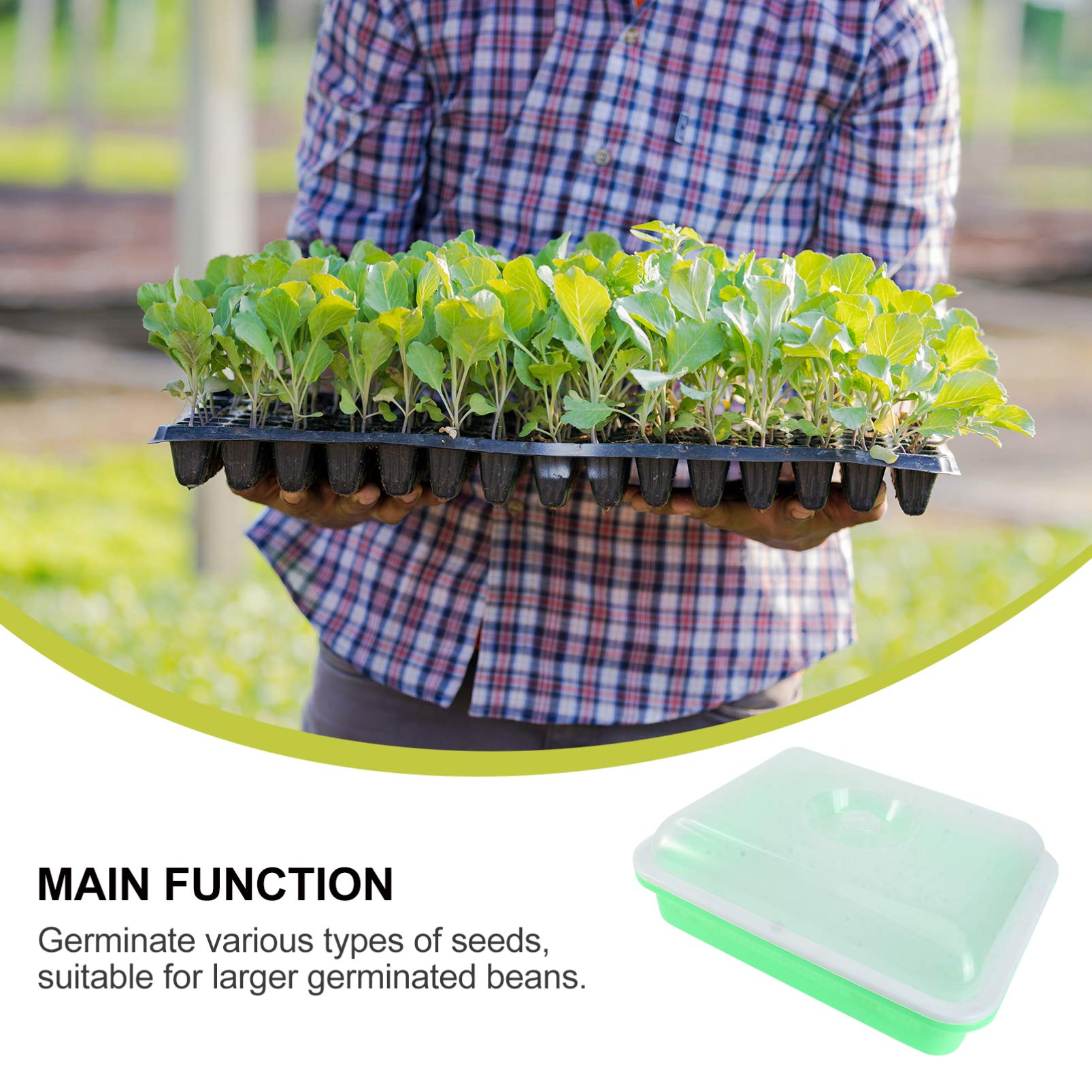 1Pc Insulated Vegetable Growing Tray - Seed Starter Container for Sprouts, Herbs & Microgreens | Water Planting Tray for Hydroponics, Kitchen Gardening & Indoor Plant Cultivation