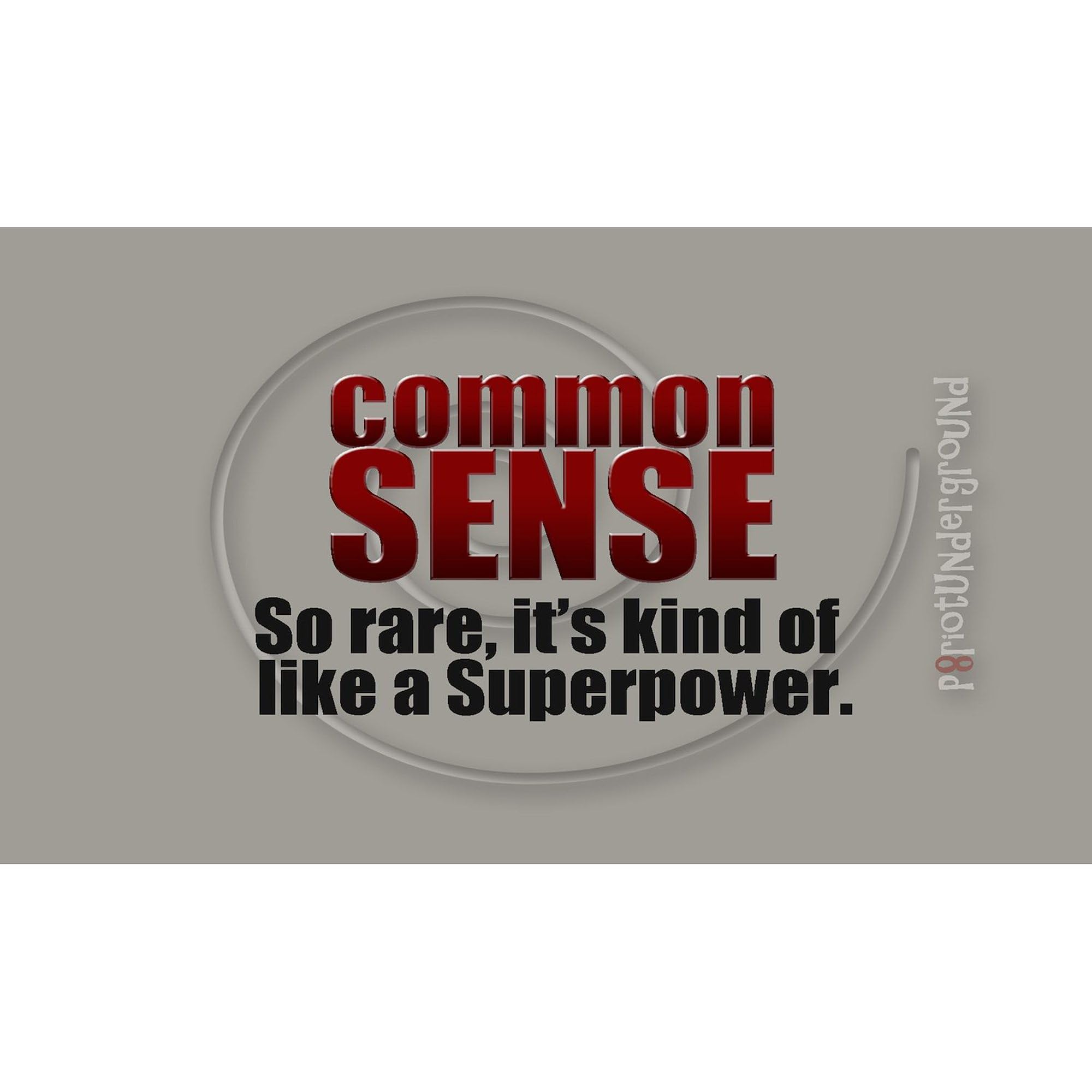 Common Sense Oval Bumper Sticker - Car & Laptop Decal