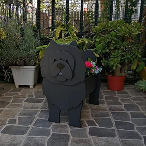 Chow Chow Grey