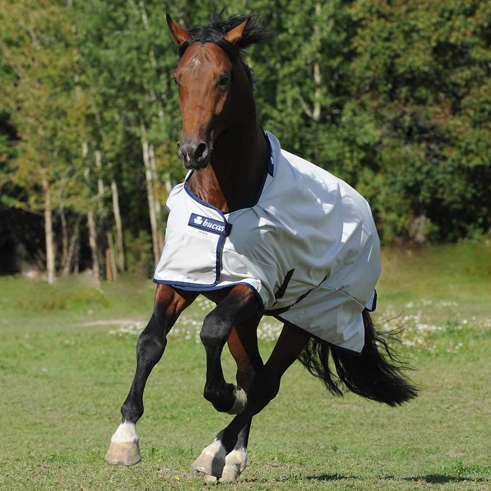 Bucas Sun Shower Turnout Sheet - Waterproof Horse Blanket for Sun Protection & Cooling - Ideal for Summer Riding, Training, and Turnout