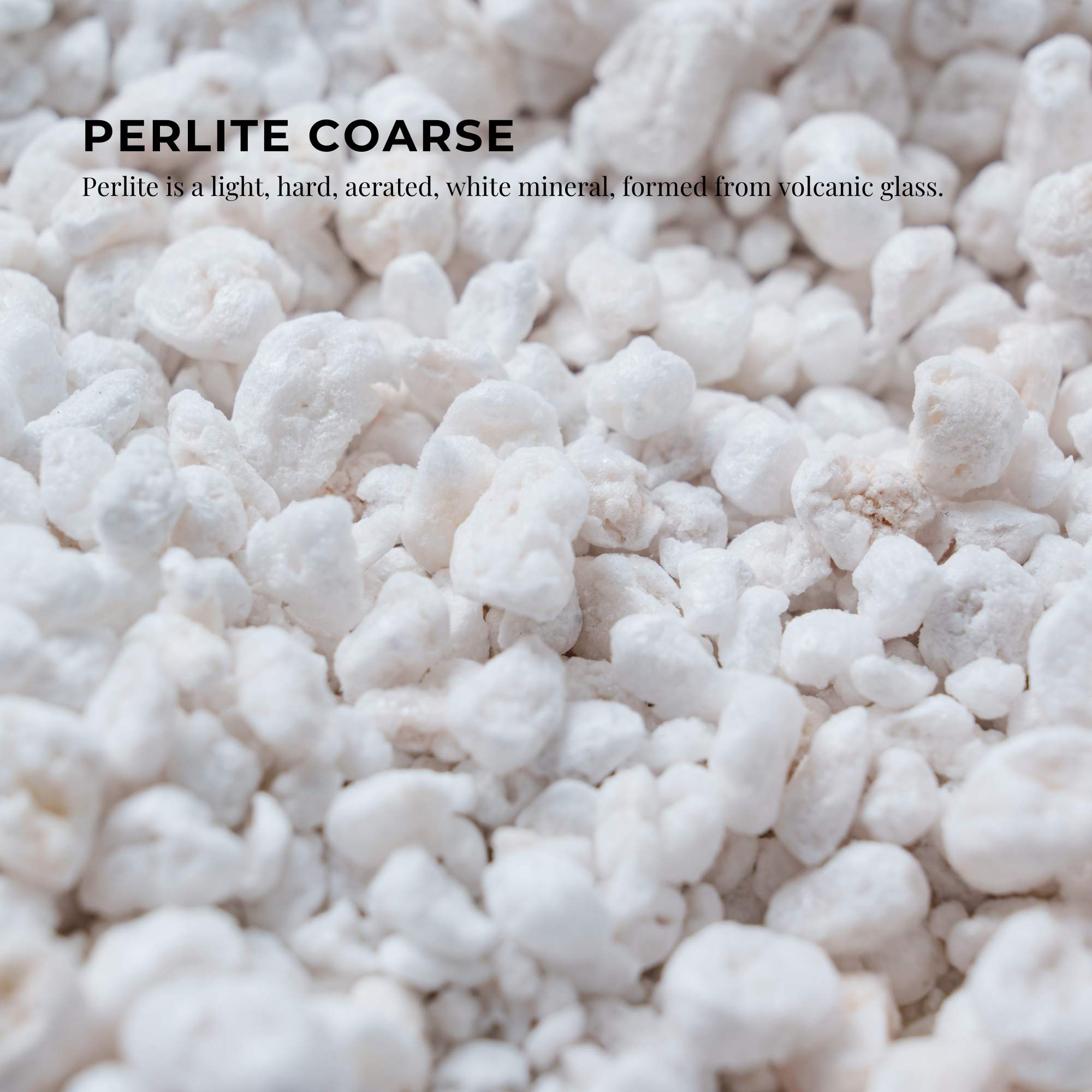 Premium 100L Coarse Perlite Soil Amendment - Expanded Hydroponic Growing Medium for Plants | Ideal for Indoor Gardening, Potting Mix & Hydroponics Systems