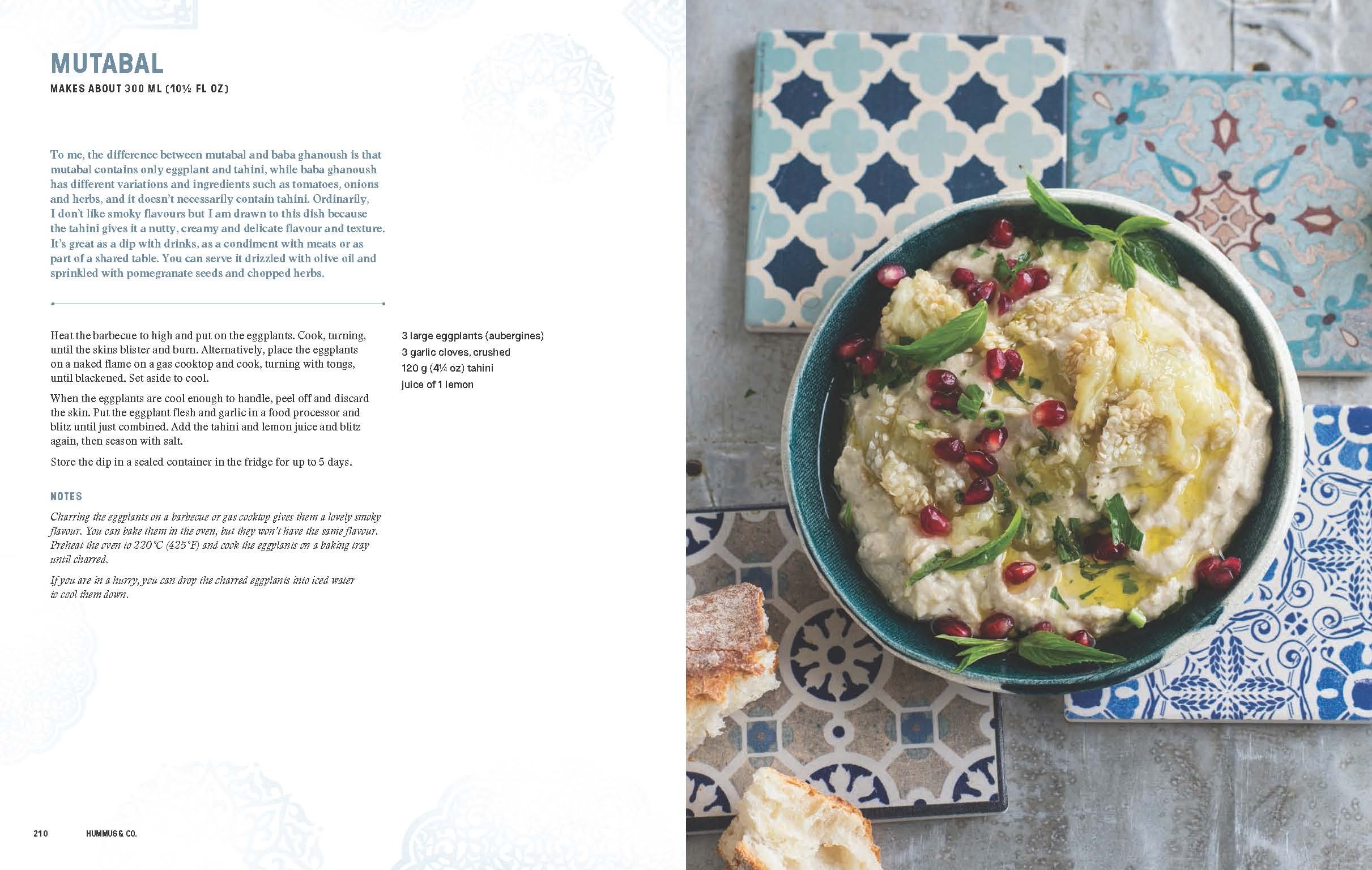Hummus & Co: Authentic Middle Eastern Food - Delicious Hummus, Falafel & More for Home Dining & Parties | Perfect for Mediterranean Diet & Healthy Snacking