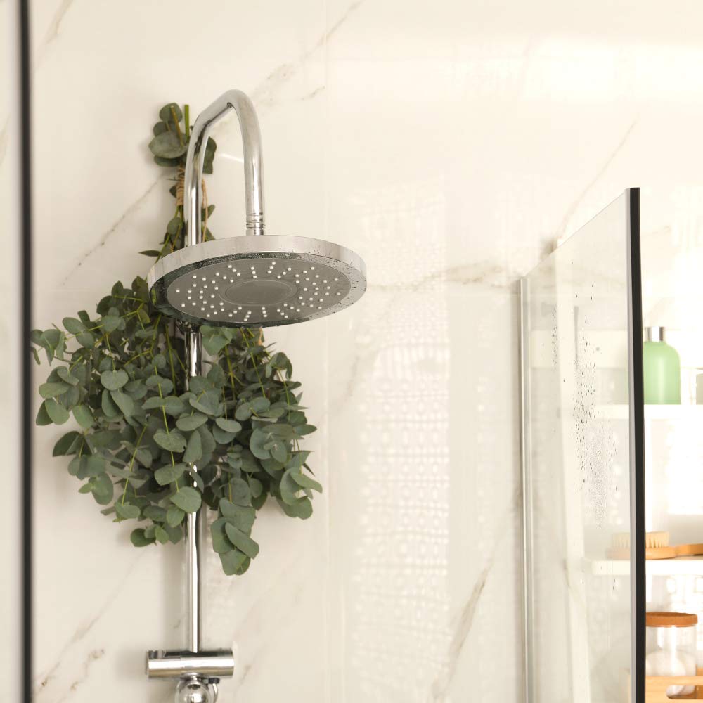 Fresh Eucalyptus Shower Bundle – 100% Natural & Freshly Cut Aromatic Shower Bunch | Spa-Like Relaxation with Beautiful Eucalyptus Scent | Perfect for Bathroom, Shower & Home Decor | Create a Luxury Spa Experience at Home
