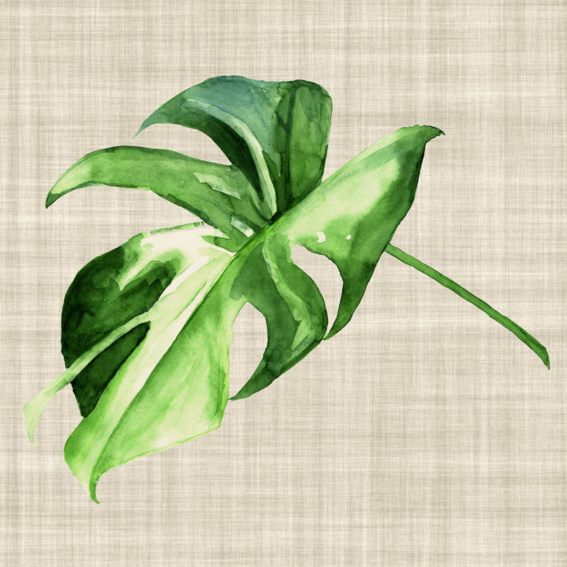Beautiful Araceae Canvas Art Print - Tropical Plant Wall Decor for Living Room, Bedroom & Office - Perfect Gift for Home & Interior Design Lovers
