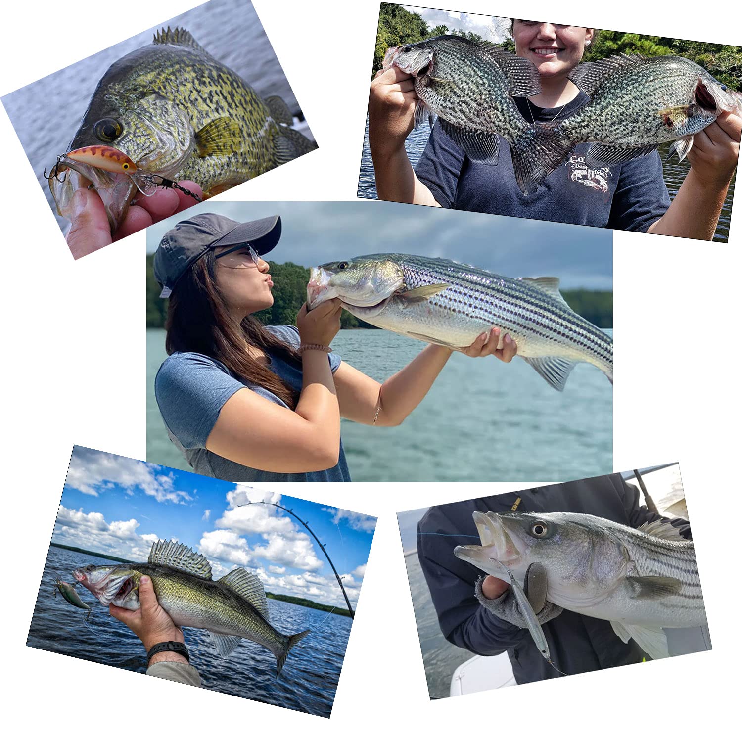 Premium Carolina Fishing Rigs - 12 Inch Steel Leaders with 1/6oz, 1/4oz, 1/2oz Weights (10 Pack) - Pre-Rigged Bass & Catfish Setup for Freshwater & Saltwater Fishing
