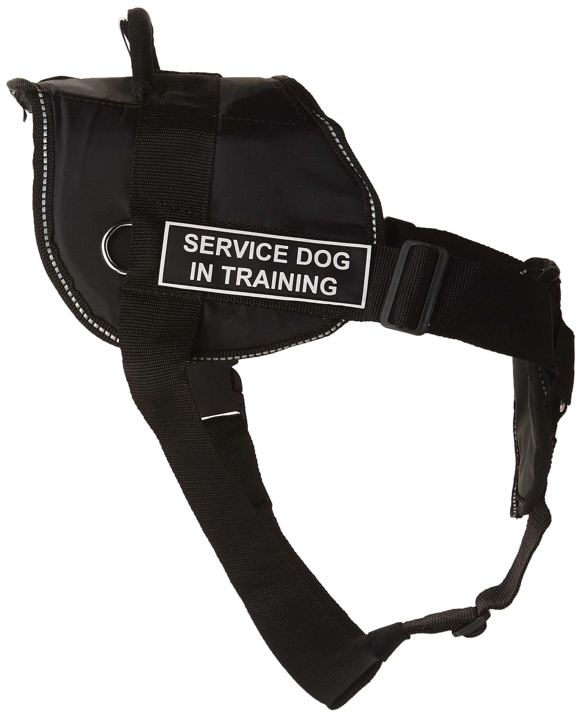 DT Fun Chest Support Harness for Service Dog in Training - X-Large Size with 6ft Padded Leash | Comfortable Training Gear for Therapy & Assistance Dogs