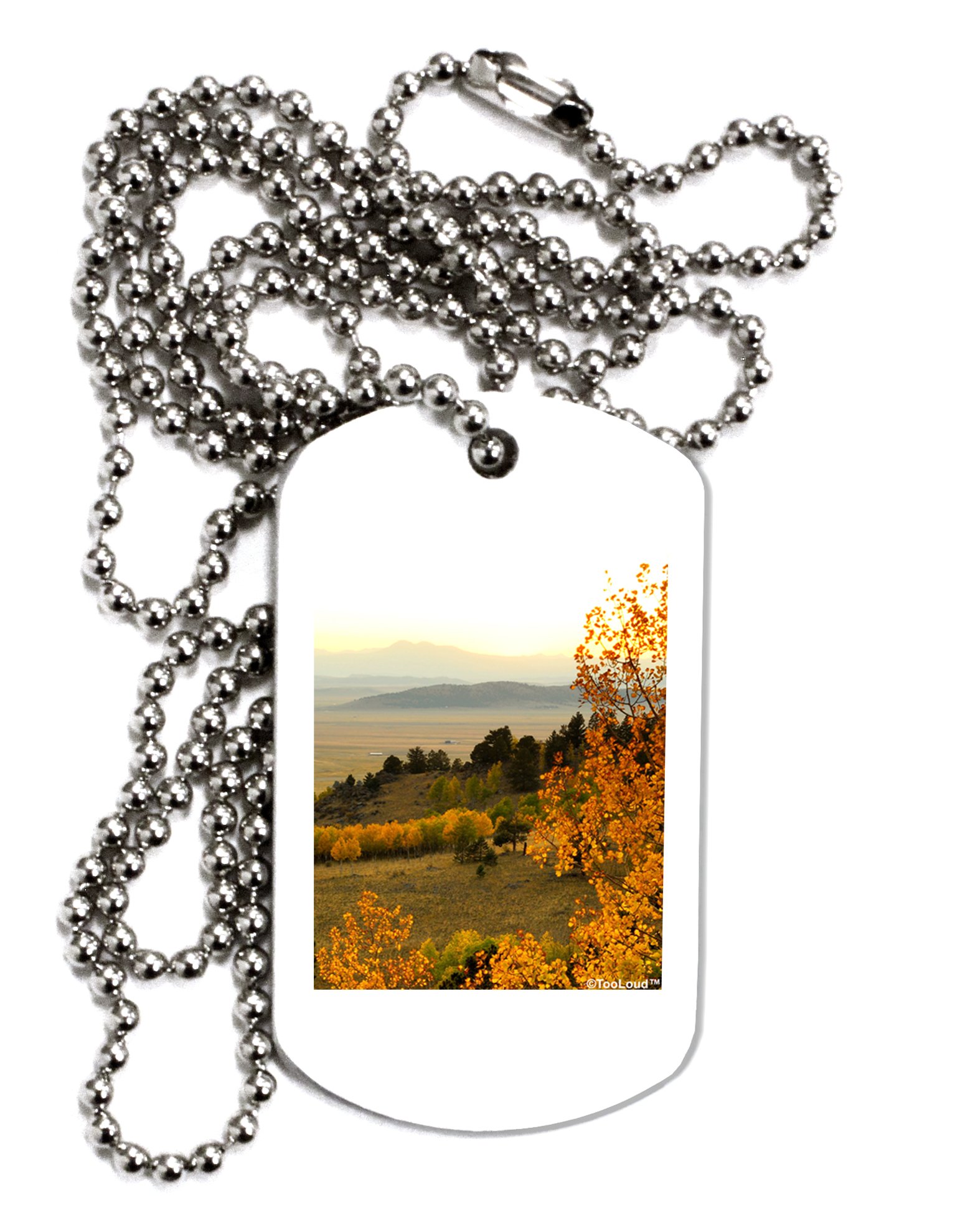 TOOLOUD Nature Photography Inspired Dog Tag Necklace - Gentle Sunrise Design Stainless Steel Pet Memorial Jewelry for Men & Women - Perfect for Pet Lovers, Memorial Gifts & Everyday Wear