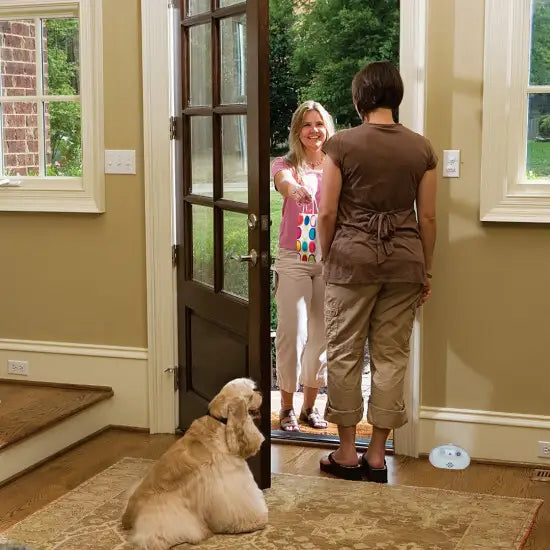 Ultrasonic Indoor Bark Control Device for Dogs - Stop Excessive Barking with Sound & Vibration - Perfect for Home, Apartment & Office Use