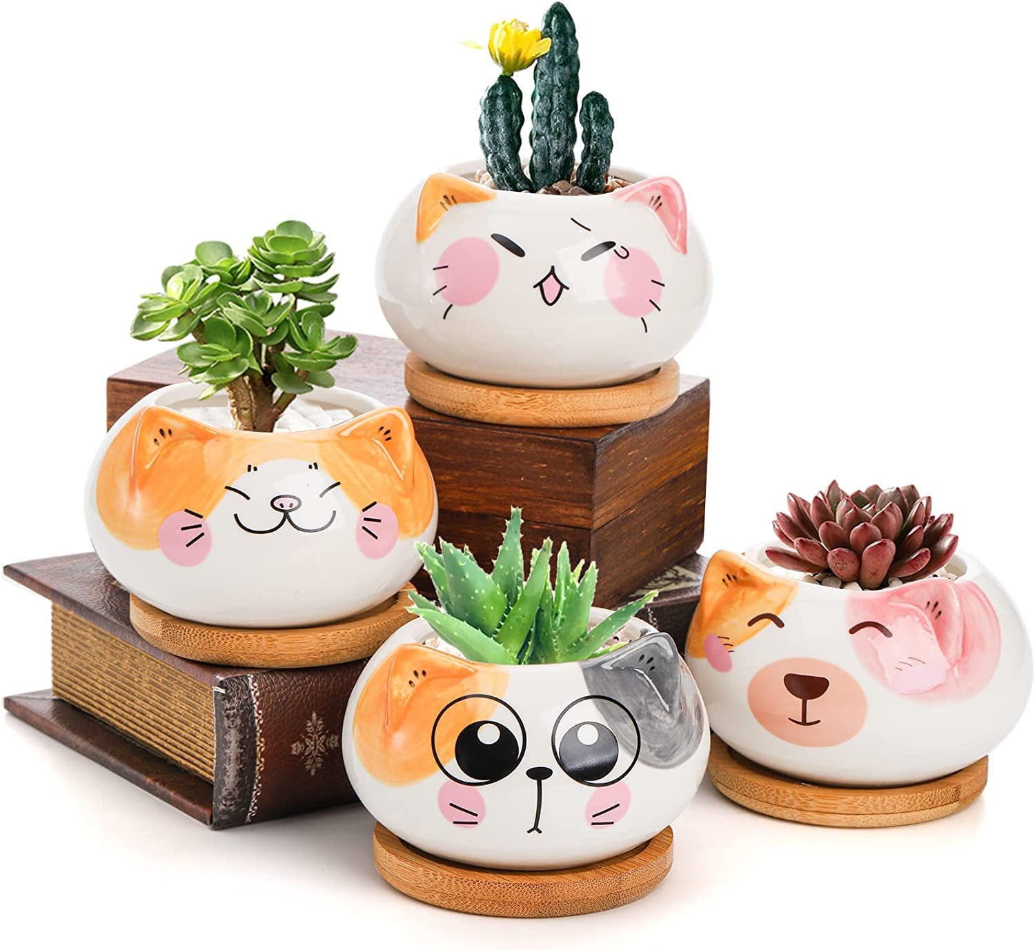 4 Pack Ceramic Succulent Plant Pots with Drainage Hole & Bamboo Tray - 3.6 Inch Cute Cat Flower Pots for Home, Garden, Office Decor | Perfect for Succulents, Small Plants & Indoor Greenery