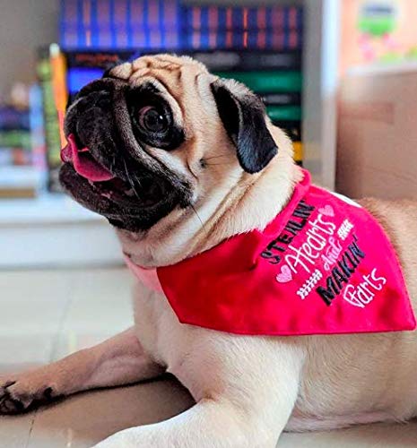 Stylish Red Embroidered Tuxedo Dog Bandana with Adjustable Collar - XL Size for Formal Occasions & Photo Shoots