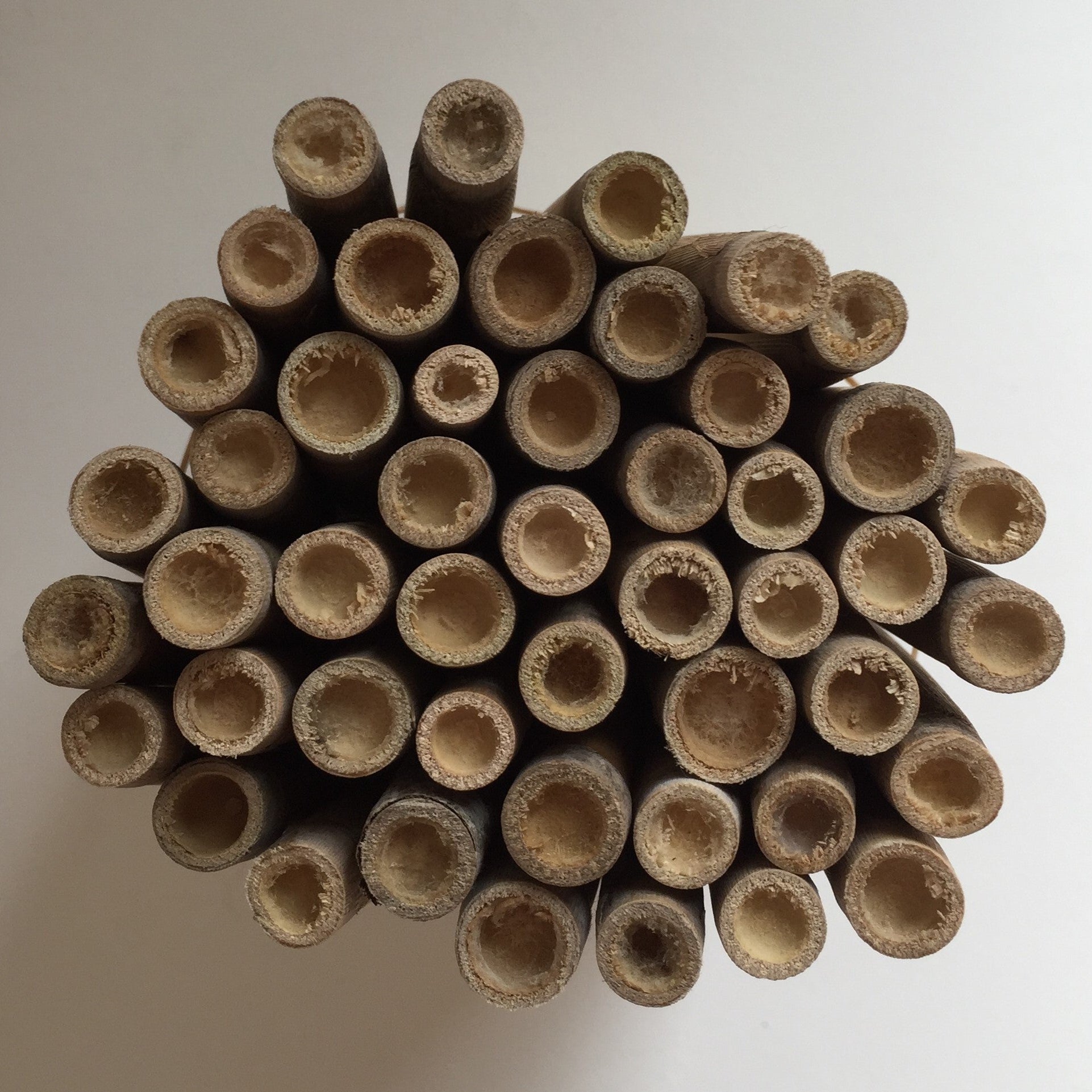Mason Bee Nesting Reeds - 48 Pack Natural Bamboo Tubes for Solitary Bees - Perfect for Garden Pollination & DIY Bee Houses