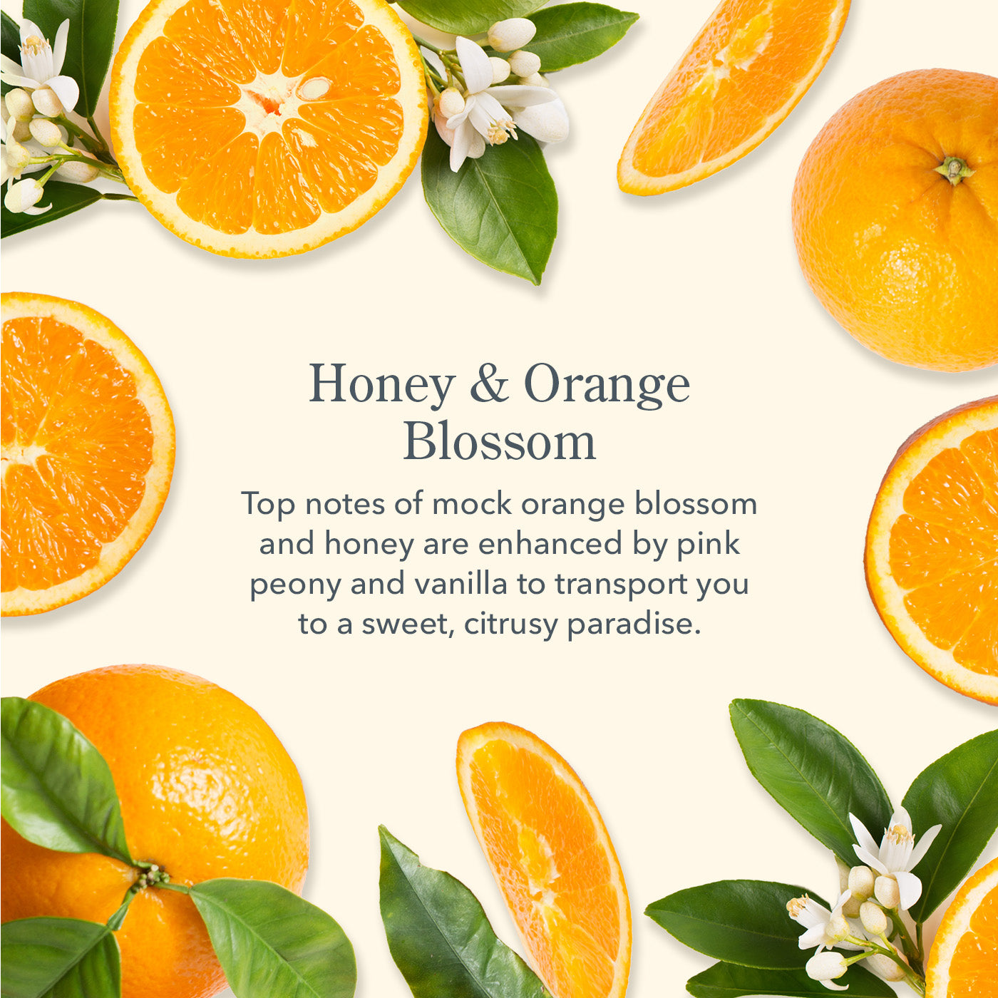 Honey & Orange Blossom Whipped Body Cream - Ultra Hydrating & Nourishing Moisturizer for Dry Skin | Perfect for Daily Use & Spa Nights