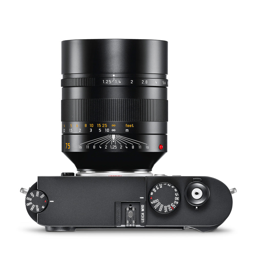 Leica Noctilux-M 75mm f/1.25 ASPH Lens for M-Mount Cameras - Premium Portrait & Low Light Photography - Perfect for Professional Photographers, Wedding & Nighttime Shooting