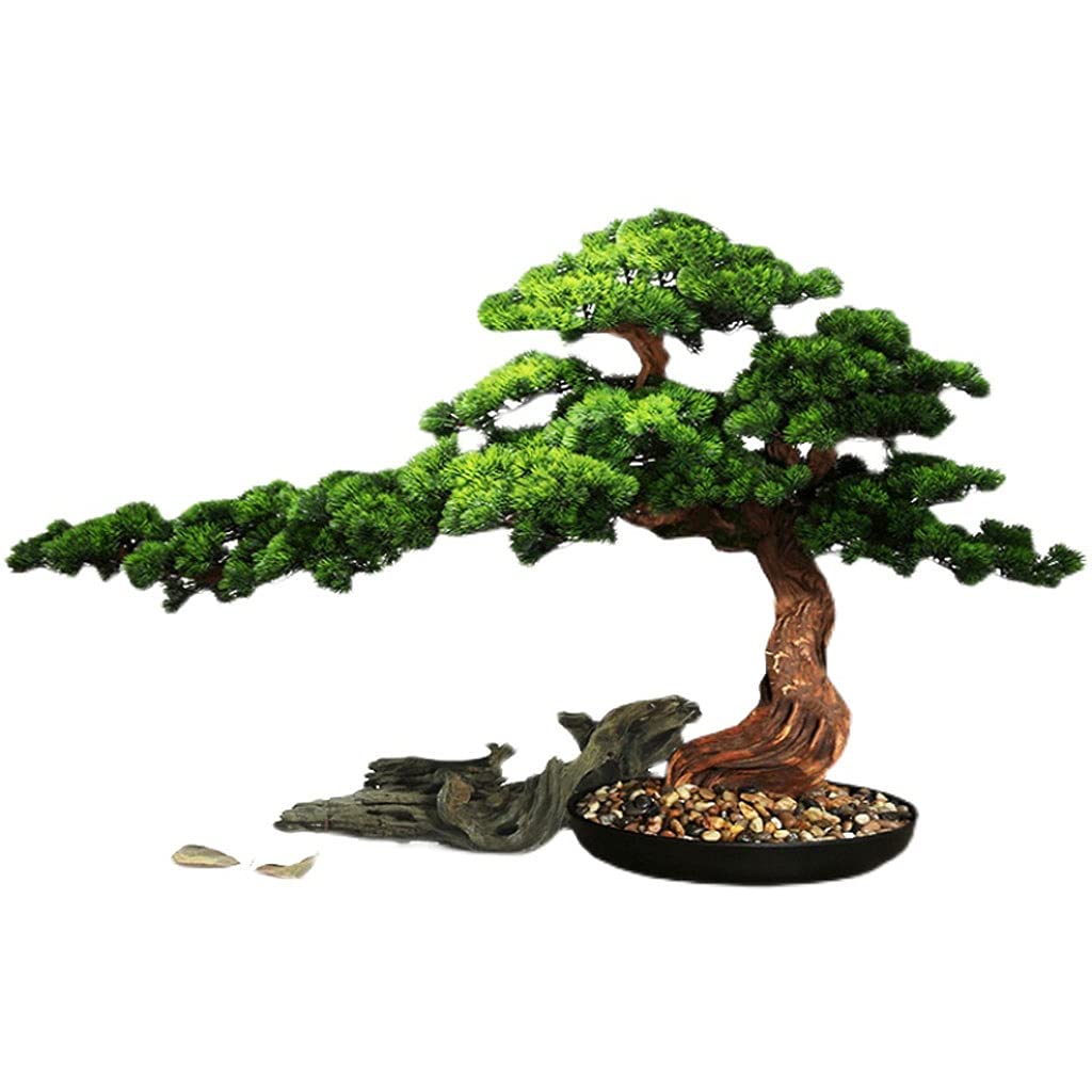 Artificial Bonsai Tree - Realistic Plastic Potted Plant for Home & Office Decor - Desktop Display, Shelf Decoration & Zen Garden Accent - Low Maintenance Fake Green Plant for Indoor Spaces