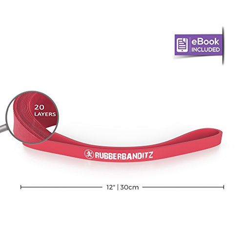 20-35 Lbs (9-16 kg) - Medium (Red)