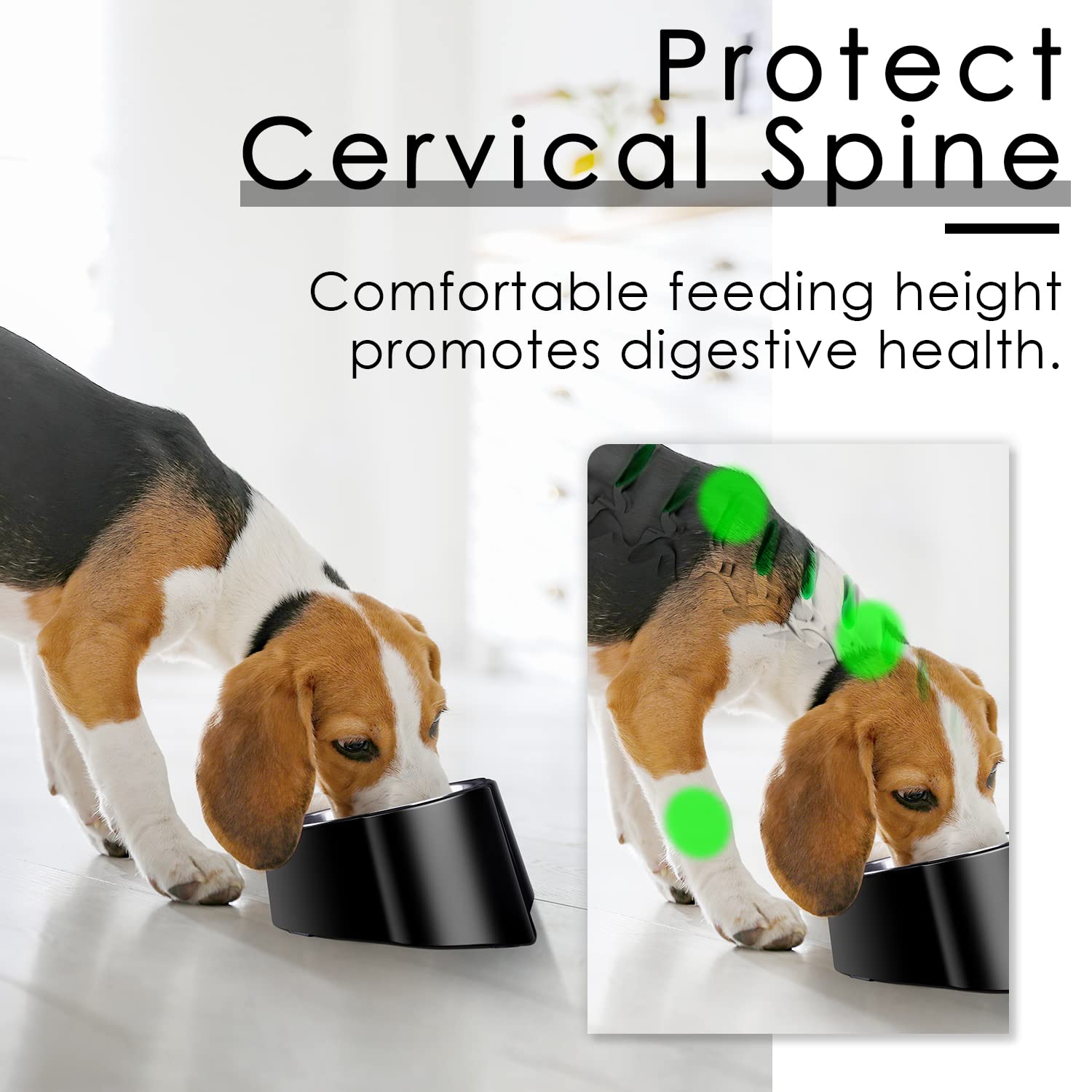 15° Slanted Stainless Steel Elevated Dog Bowl - Spill Proof Tilted Pet Food Dish for Small Dogs & French Bulldogs - Perfect for Messy Eaters & Pets with Neck Pain (Black) - Ideal for Home, Travel & Outdoor Use