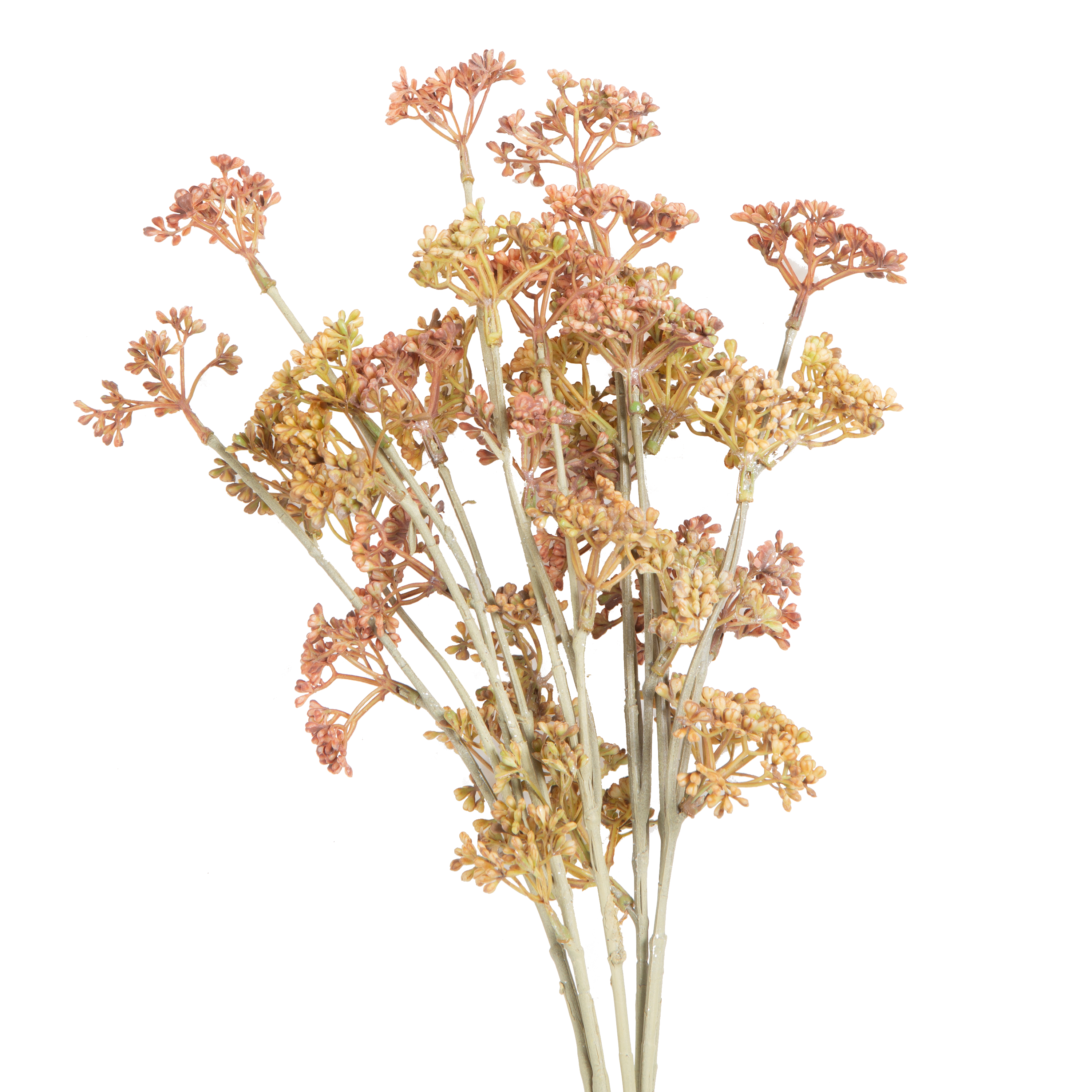 Premium Meadow Sedge Stems - Natural Dried Grass Stems for Home Decor, Floral Arrangements & DIY Crafts - Perfect for Rustic, Boho & Farmhouse Style Decorations