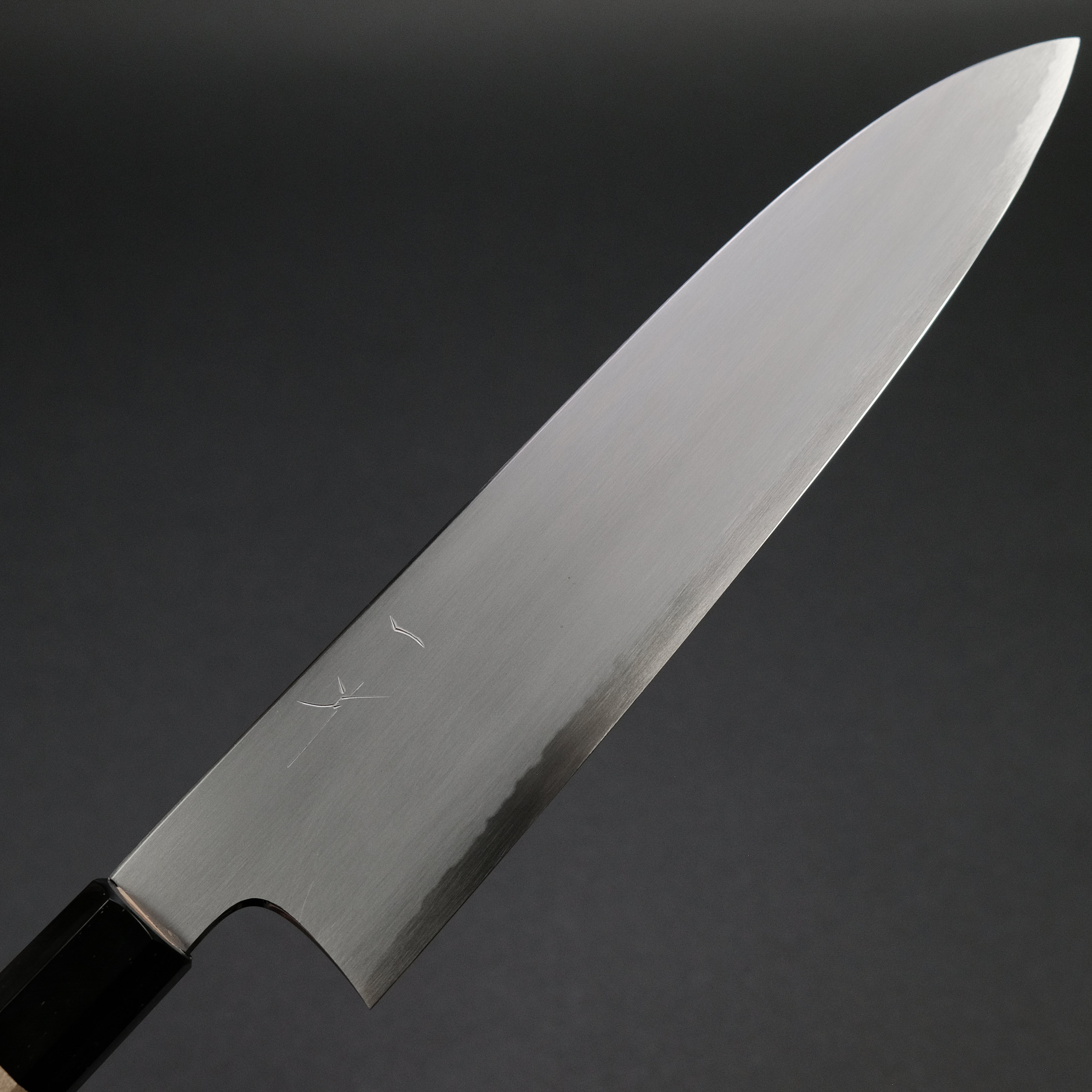 Hitohira Gorobei Rikichi White #2 Kasumi Gyuto 240mm Japanese Chef Knife with Ho Wood Handle - Professional Kitchen Tool for Sushi, Meat Cutting & Food Preparation