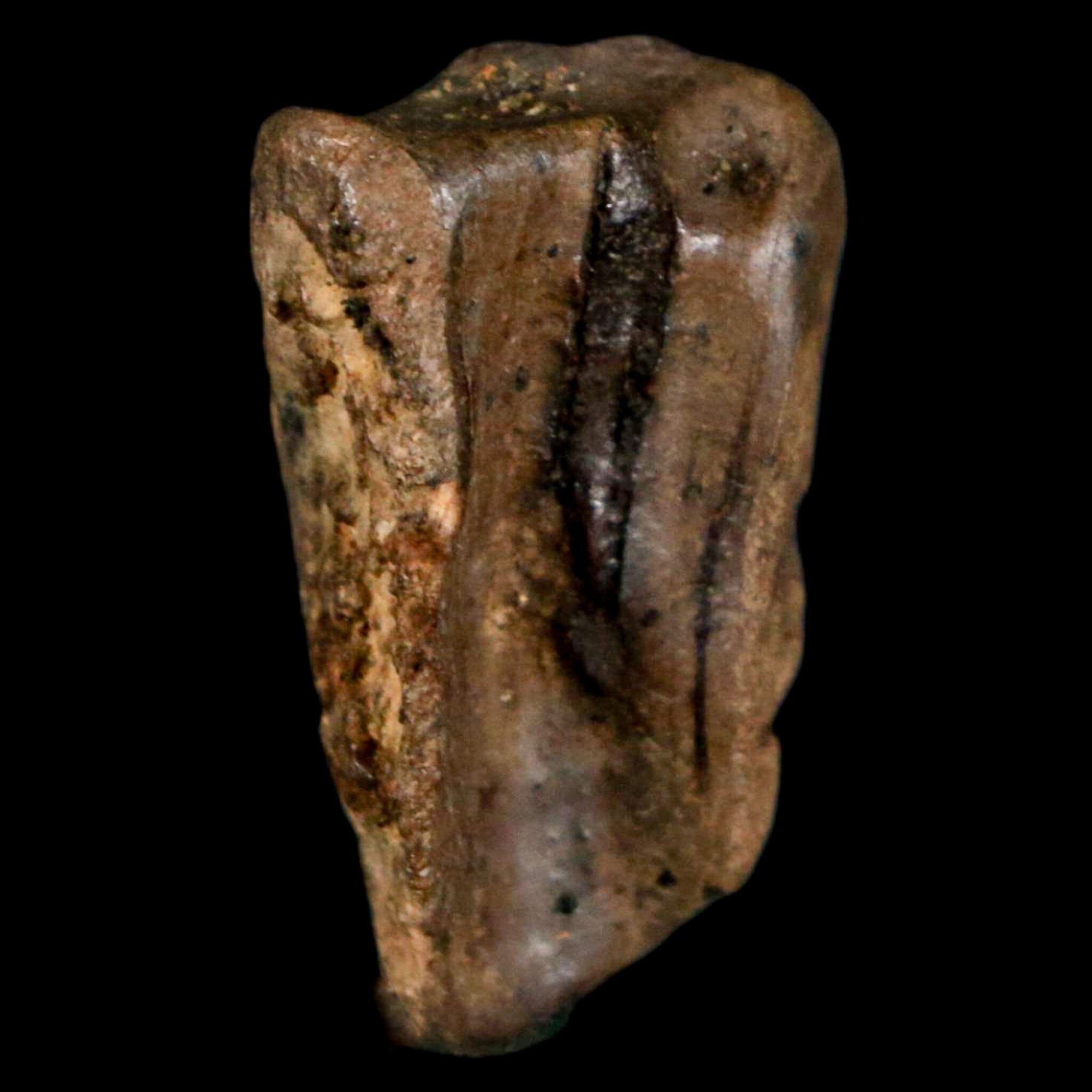 XL 0.9