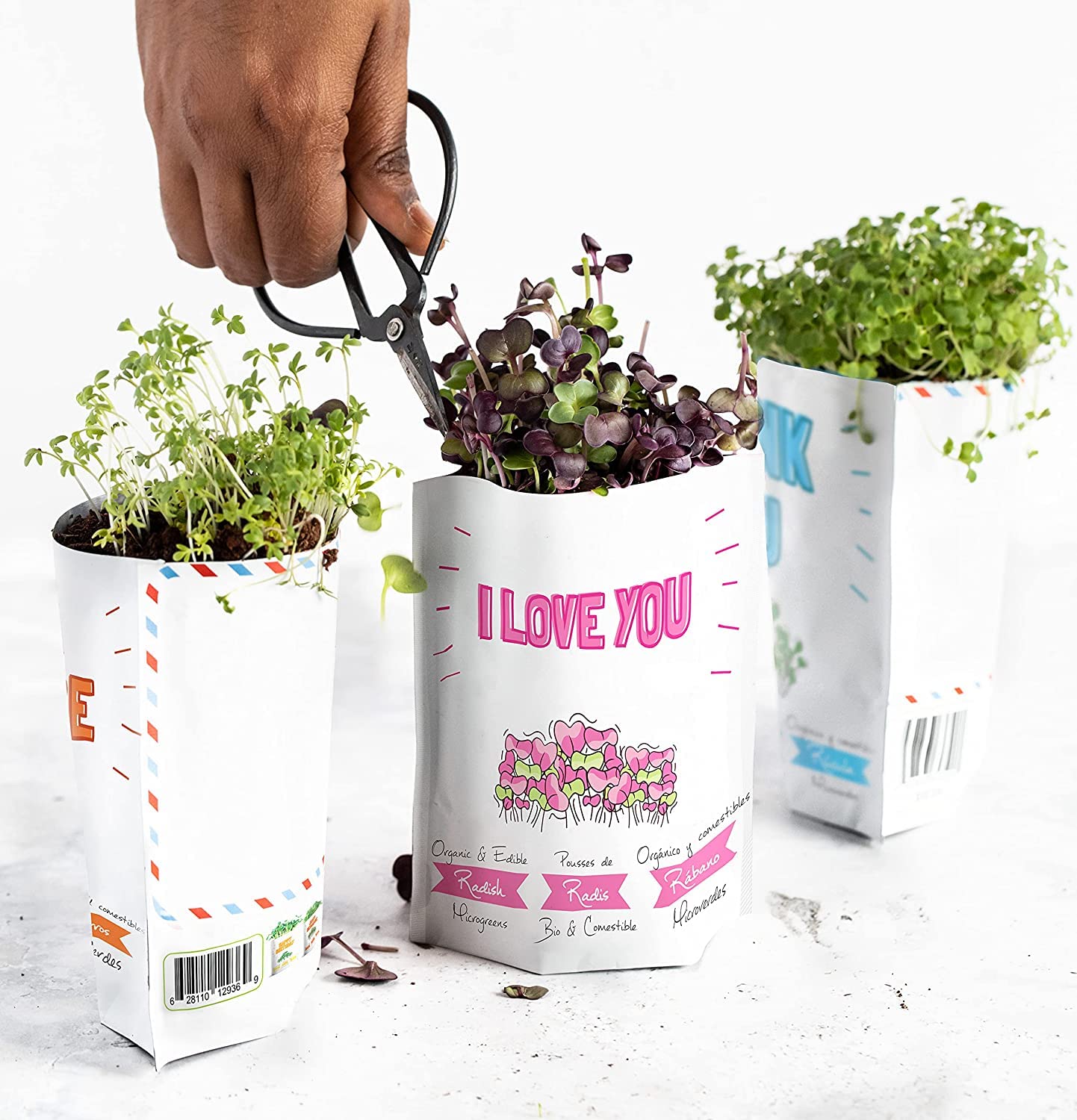 Organic Microgreens Greeting Card - Plantable Postcard for All Occasions | Eco-Friendly Gift