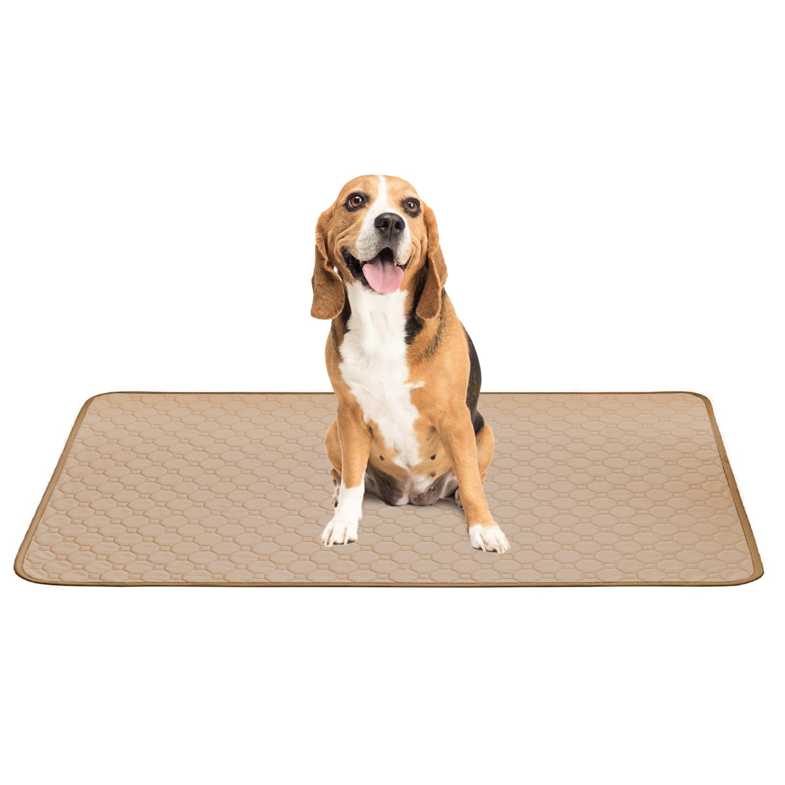 Washable Reusable Dog Training Pads with Non-Slip Silicone Mat - Leak Proof Pet Pee Pad Holder for Puppy Housebreaking, Crate & Kennel Use - Floor Protection for Indoor Dogs & Puppies (Great for Apartments, Travel & Nighttime Potty Training)