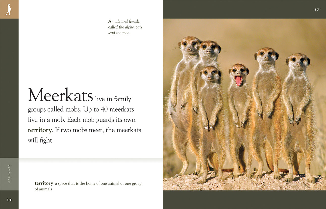 Amazing Animals (2014): Meerkats - Fun Wildlife Documentary for Kids & Nature Lovers - Perfect for Classroom Learning & Family Movie Nights