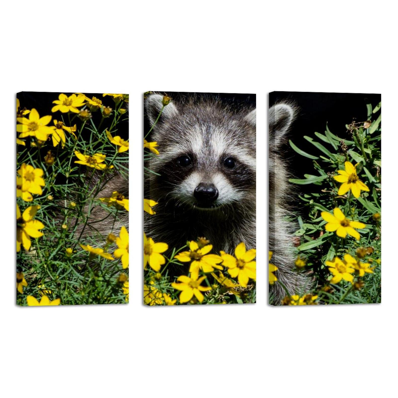 3 Panel Framed Canvas Wall Art - Raccoon Sitting Among Yellow Flowers Oil Painting - Home & Office Decor - 8