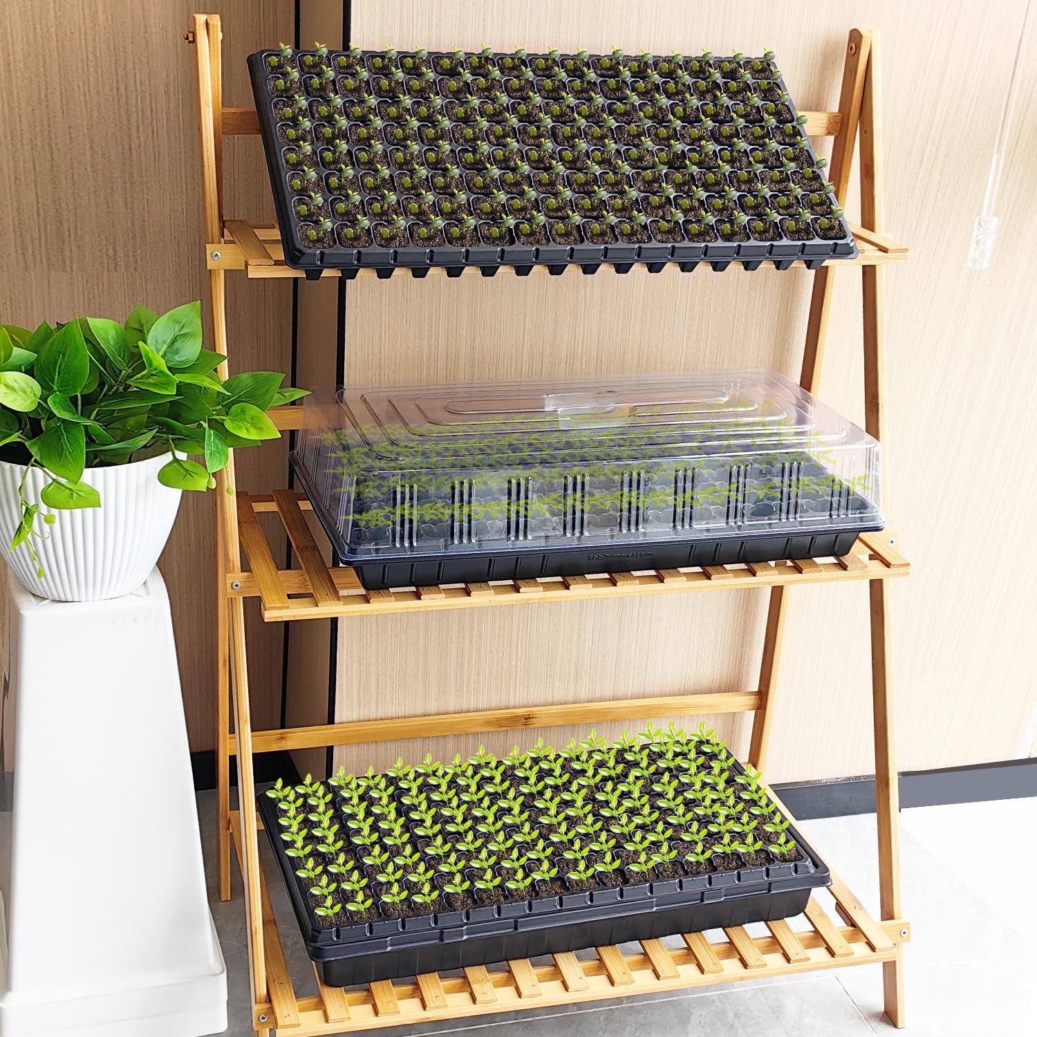 10-Pack 128-Cell Seed Starter Trays - Thick & Durable Nursery Plug Trays for Seedlings - 21.26