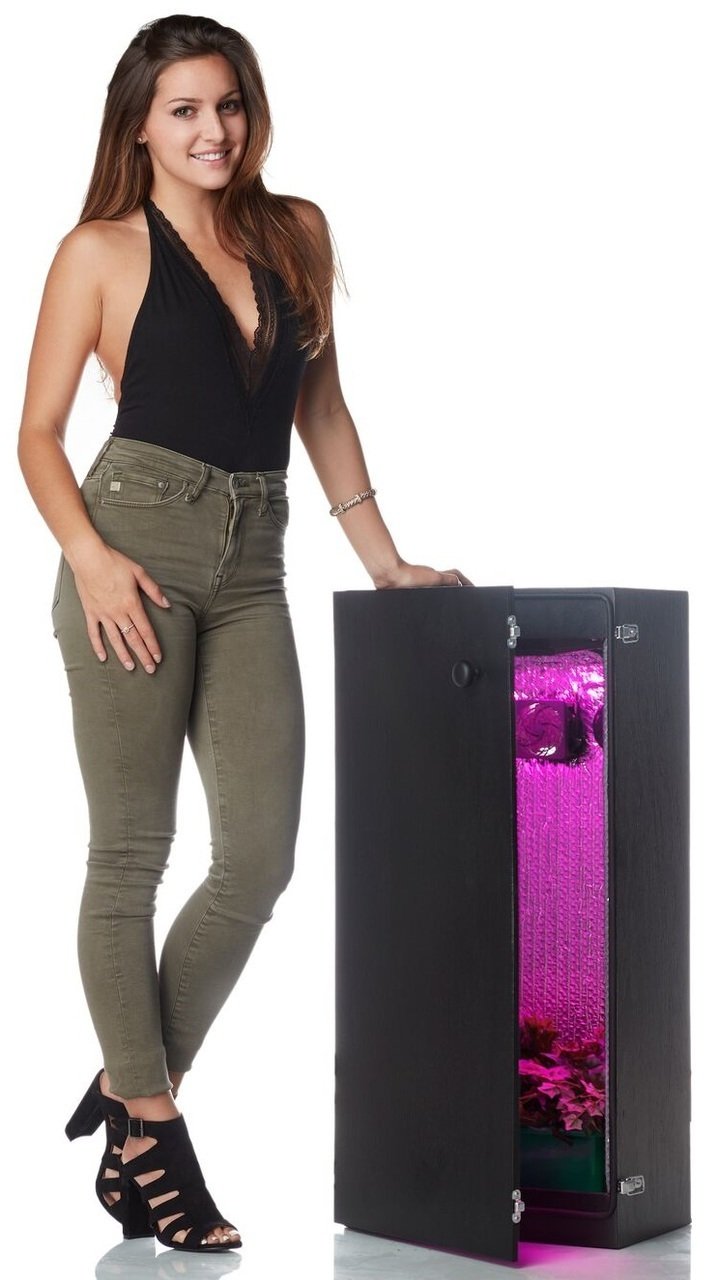 Dealzer Cash Crop 6.0 Hydroponic Grow Box - 2 Plant LED Indoor Garden System for Herbs, Vegetables & Flowers | Perfect for Home, Office & Small Space Gardening
