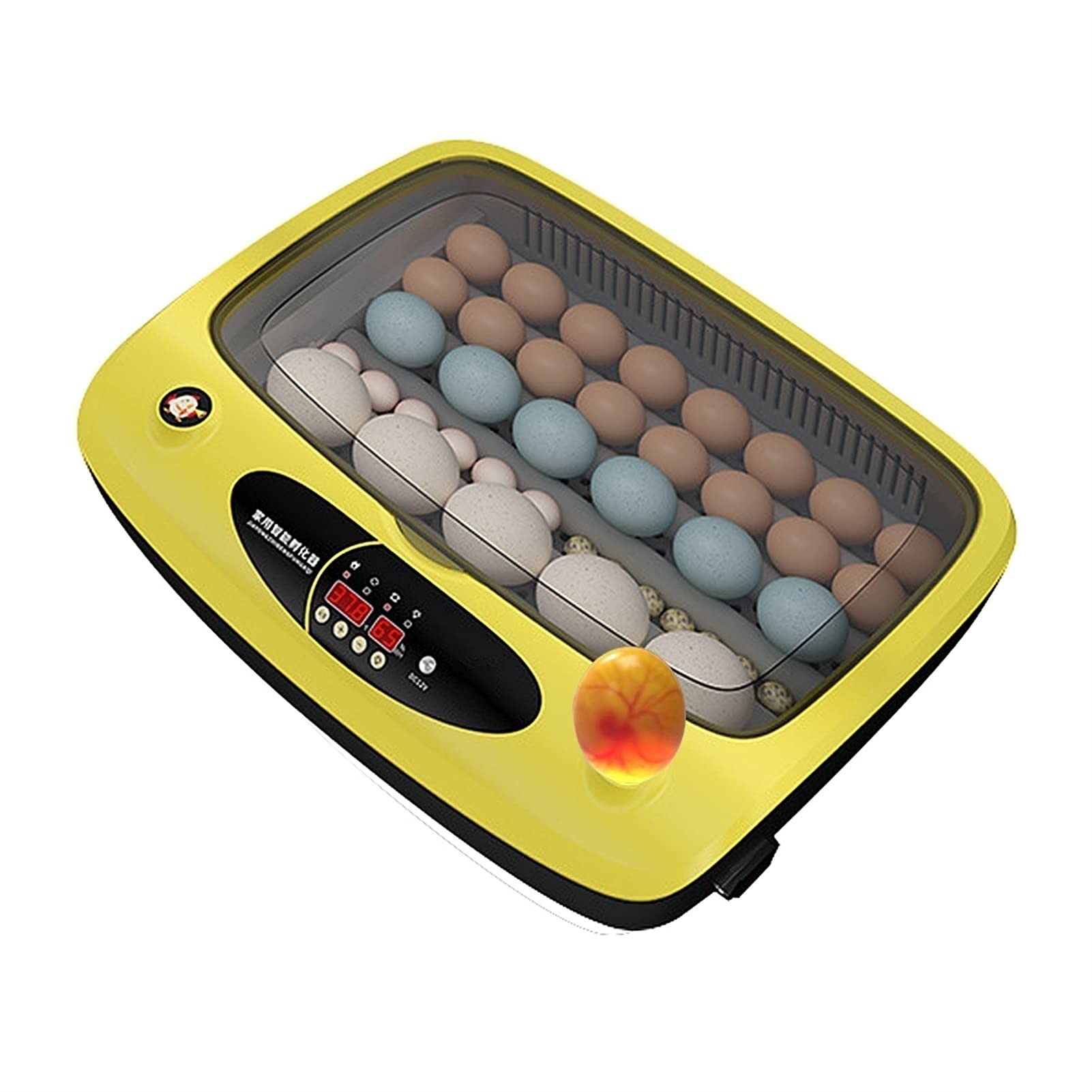 YAWEDA 36 Egg Digital Incubator with Automatic Turning & Temperature Control - Clear Lid Poultry Hatcher for Chicken, Duck, Goose Eggs - Perfect for Home Farming, Classroom Projects & Backyard Poultry Breeding (36 Eggs Capacity)