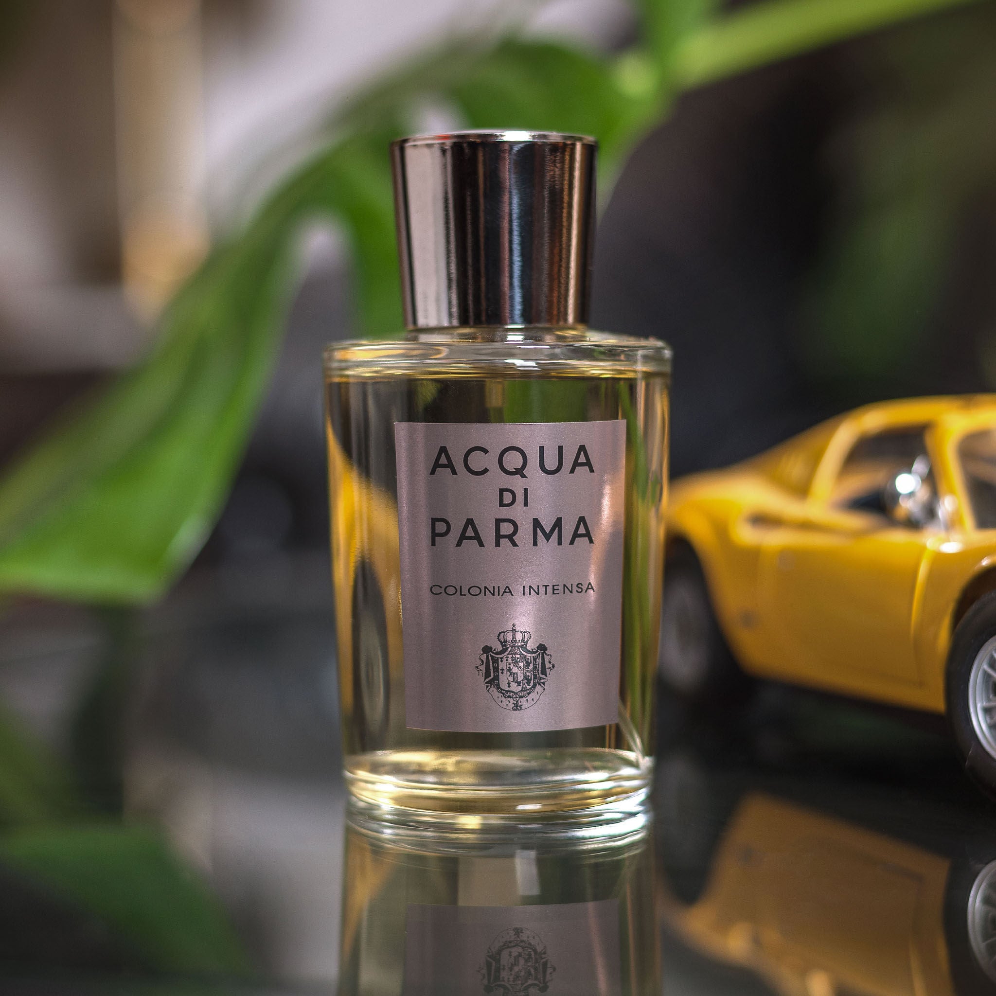 Colonia Intensa Eau de Cologne Spray for Men - Long Lasting Fresh Citrus Aromatic Fragrance - Perfect for Daily Wear, Office & Special Occasions