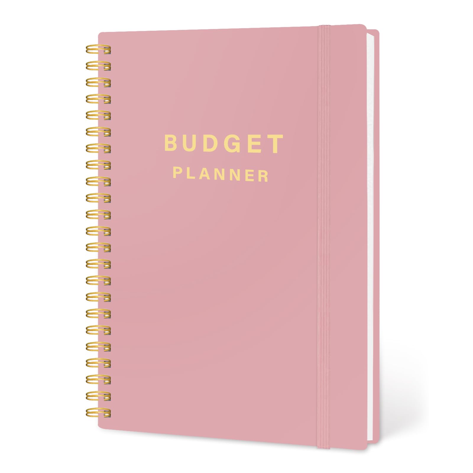2025 Budget Planner & Monthly Bill Organizer - Expense Tracker with Savings Goals & Income Management | Personal Finance Notebook for Household Budgeting, Debt Payoff & Money Saving | Perfect for Students, Families & Financial Planning