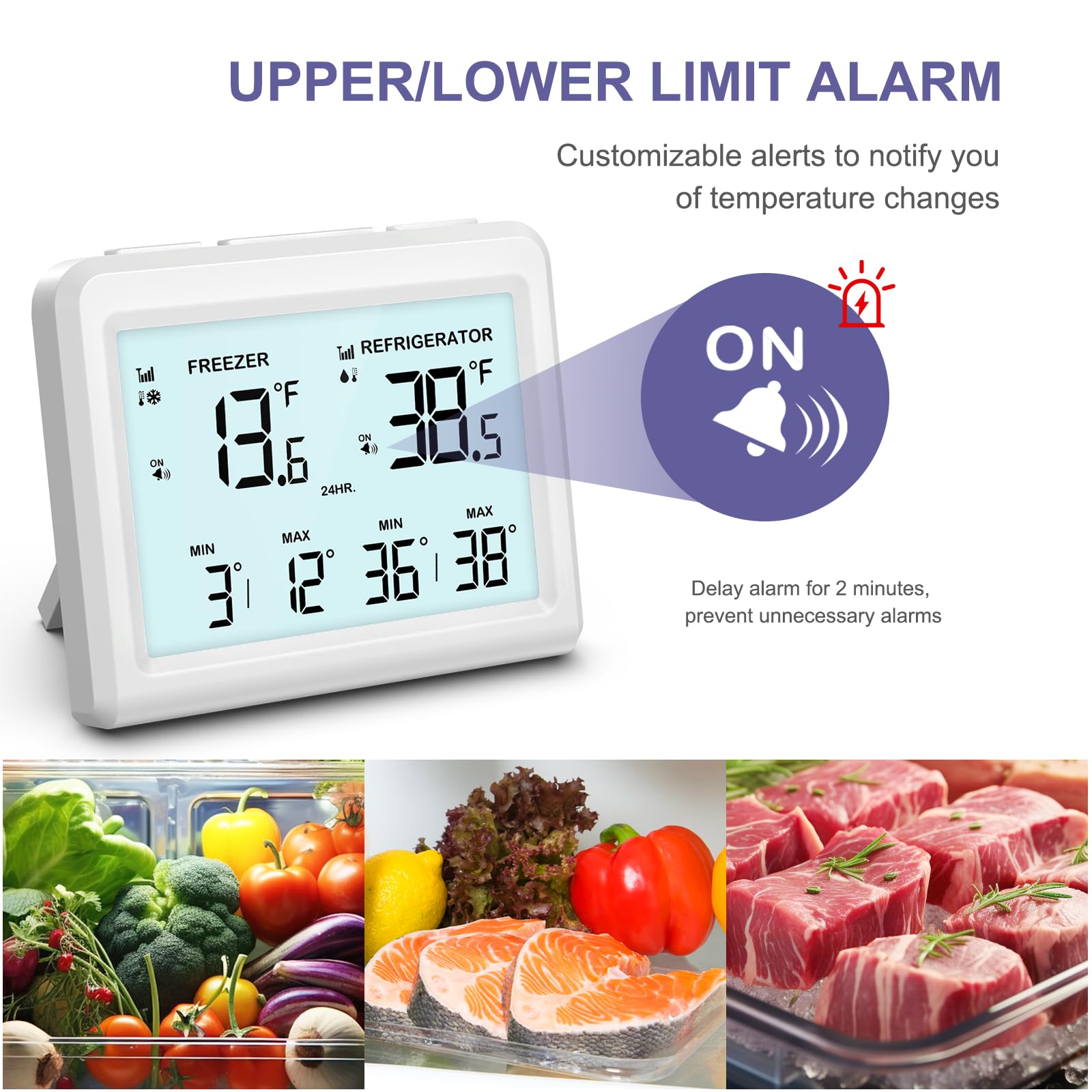 Digital Refrigerator Thermometer with Alarm - 3.7