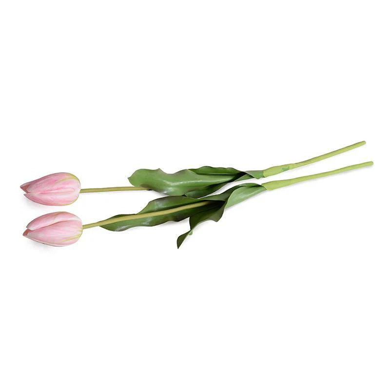 Premium Dutch Pink Tulip Stems - 24