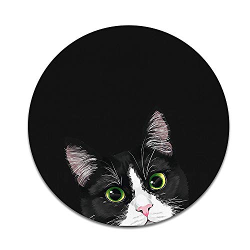 Black White Tuxedo Cat