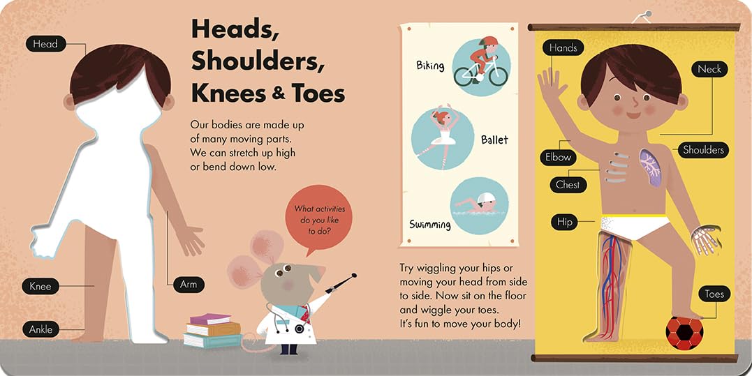 How the Human Body Works - Anatomy, Functions & Systems Explained | Educational Guide for Students & Teachers | Perfect for Classrooms & Homeschooling