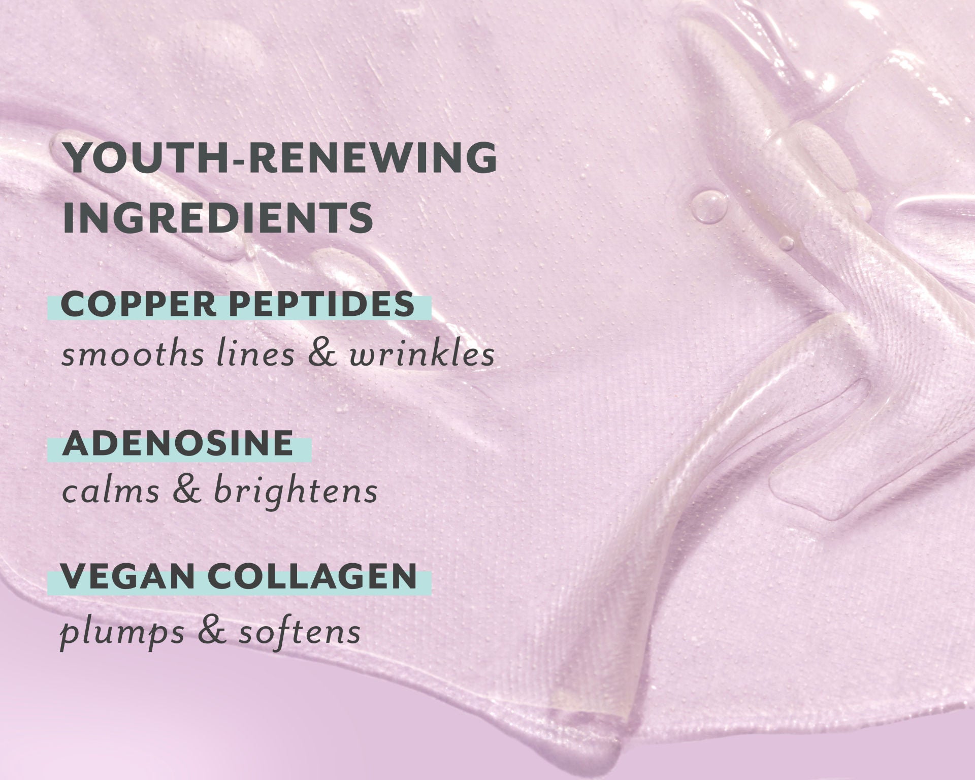 Firm Believer Neck and Décolleté Treatment Cream - Anti-Aging & Intense Smoothing for Wrinkles & Fine Lines - Perfect for Night Routine & Special Occasions