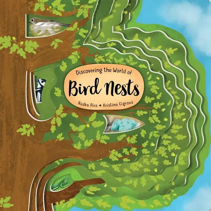 Discovering The World Of Bird Nests - Illustrated Board Book for Kids | Educational Nature Exploration | Perfect for Bedtime Stories & Classroom Learning