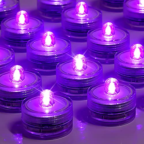 Purple-24