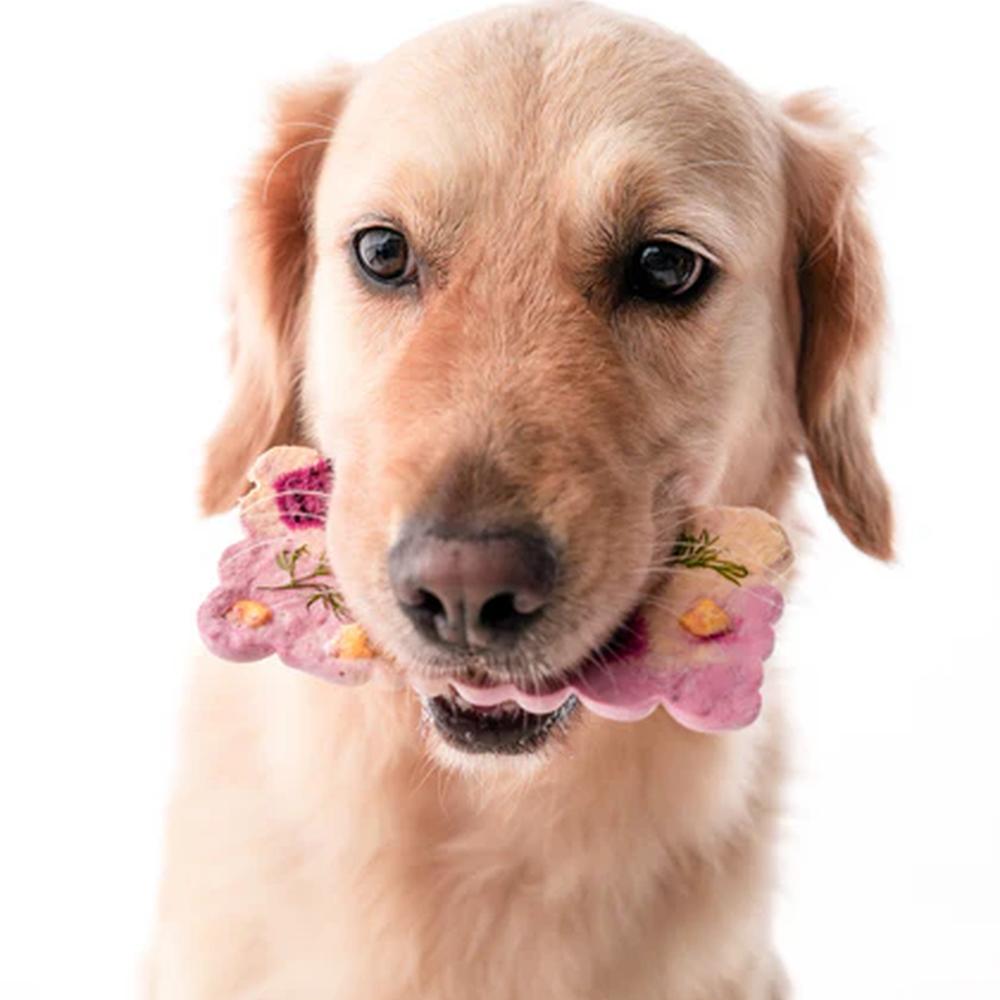 Freeze-Dried Cronch Bars Beef Knuckle Dog & Cat Treats - High-Protein, Grain-Free Snacks for Training, Rewards, and Dental Health