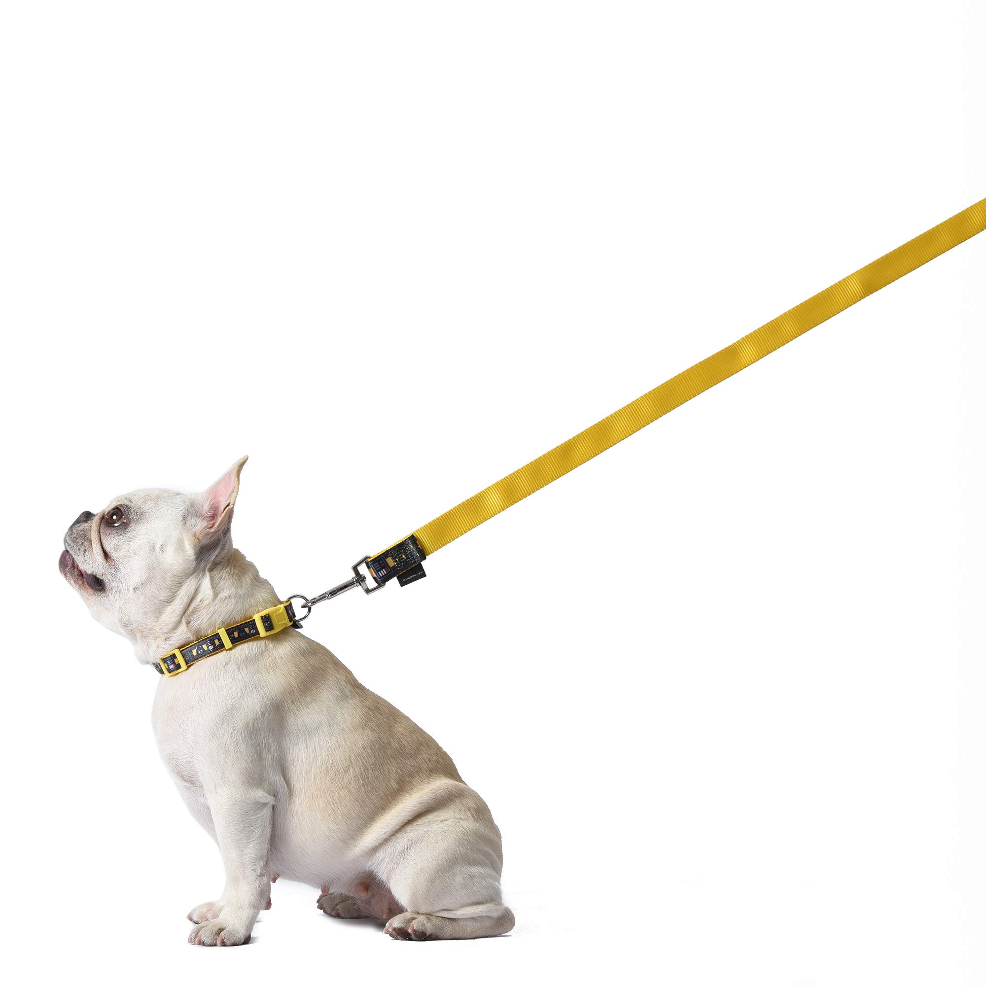 Star Wars Darth Vader 6 Foot (72 Inch) Dog Leash for All Breeds | Officially Licensed Pet Accessory for Small Medium Large Dogs | Perfect for Walks, Training & Star Wars Fans